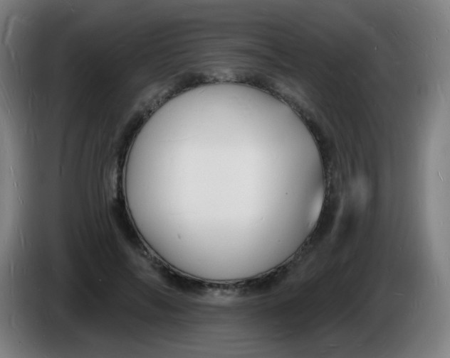 X0000085280694200703301916
