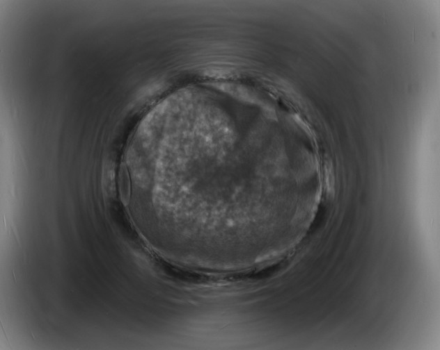 X0000085280696200703301916