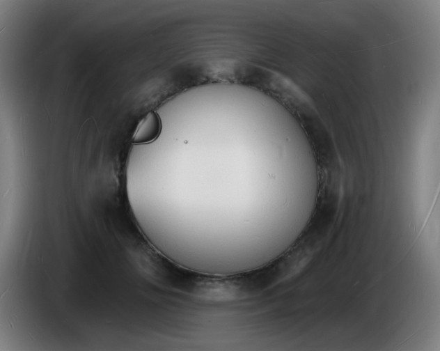 X0000085280702200703301916