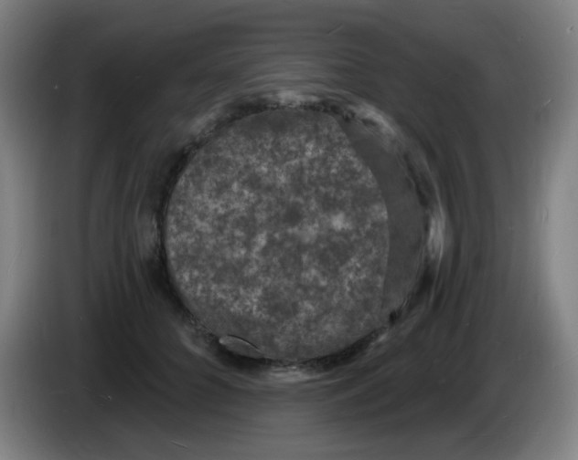 X0000085280704200703301916
