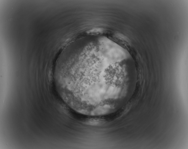 X0000085280708200703301916