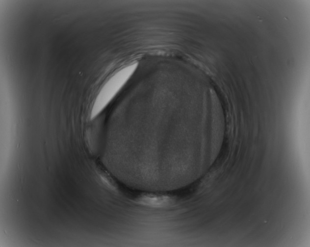 X0000085280712200703301916