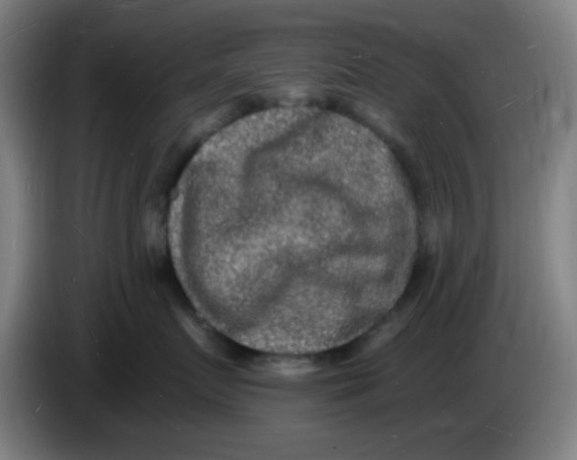 X0000085280719200703301916