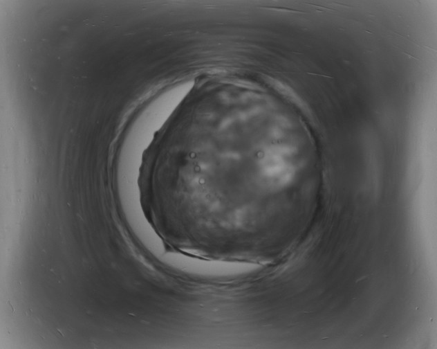 X0000085280721200703301915