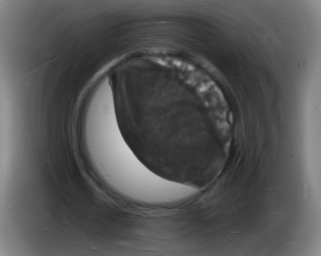 X0000085280722200703301915