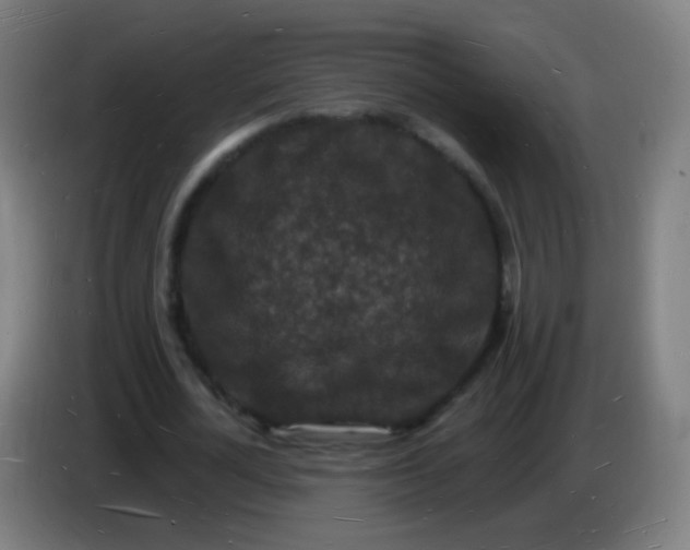 X0000085280724200703301915