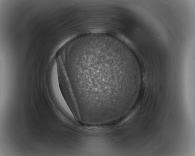 X0000085280725200703301915