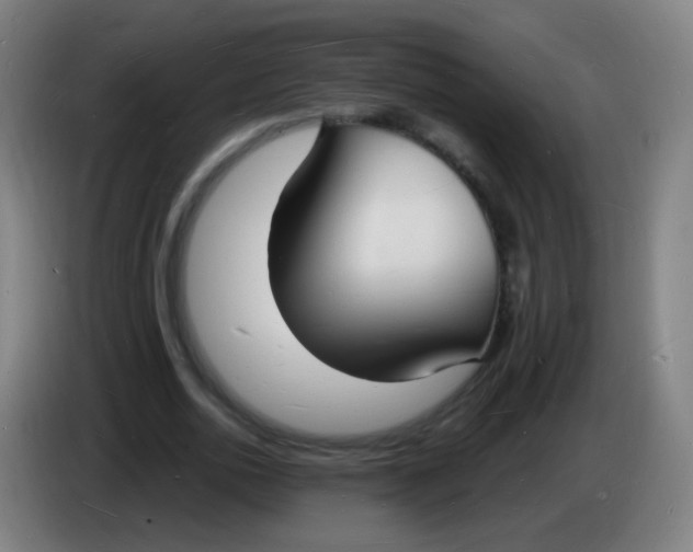 X0000085280726200703301915