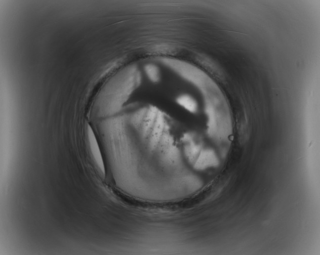 X0000085280729200703301915