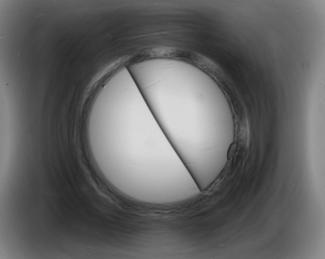 X0000085280732200703301915