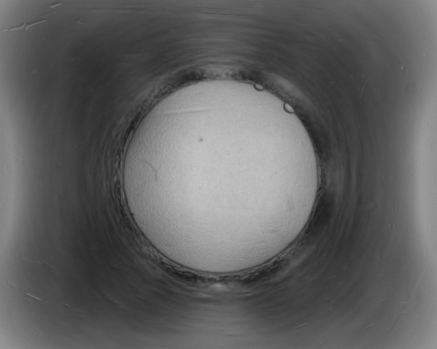 X0000085280737200703301915
