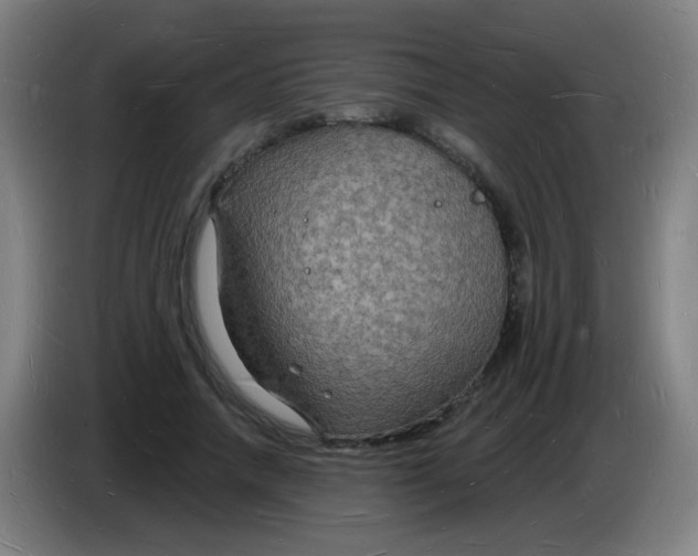 X0000085280738200703301915