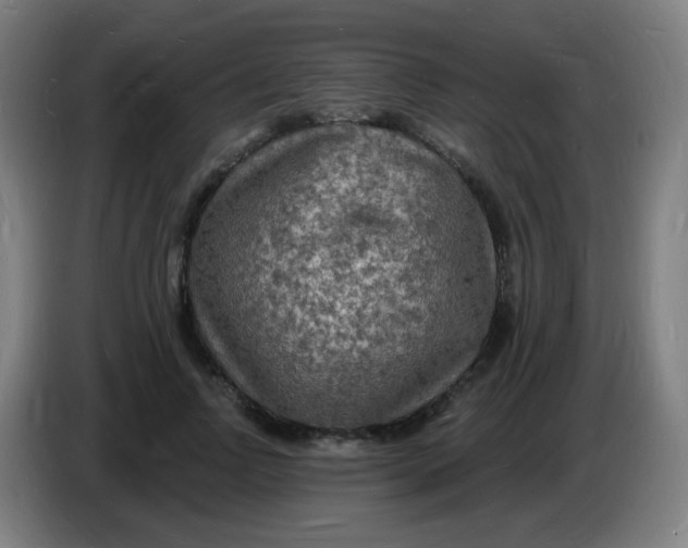 X0000085280742200703301915