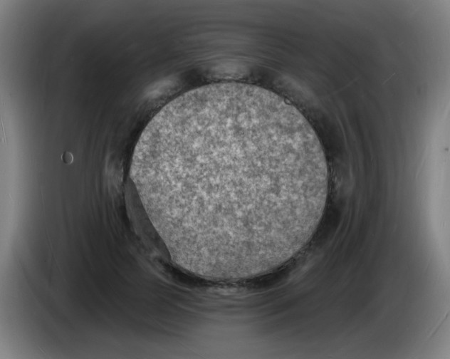 X0000085280745200703301915