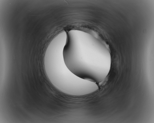 X0000085280750200703301915