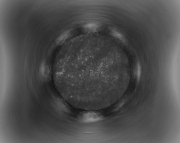 X0000085280759200703301915