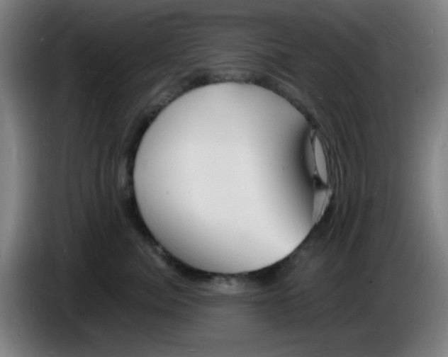 X0000085280764200703301916
