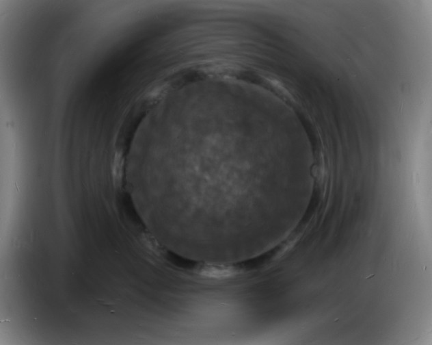 X0000085280767200703301916