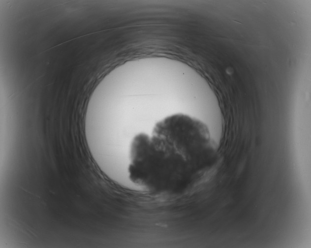X0000085280772200703301915
