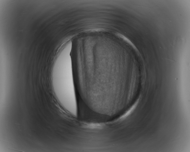 X0000085280777200703301915