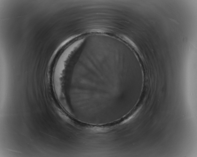X0000085280779200703301915