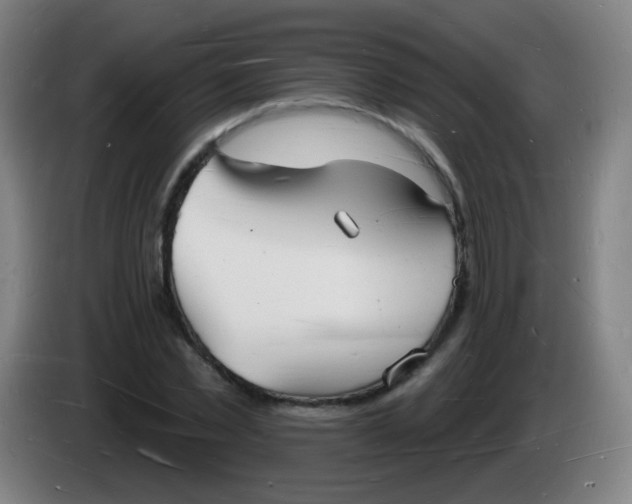 X0000085280781200703301915