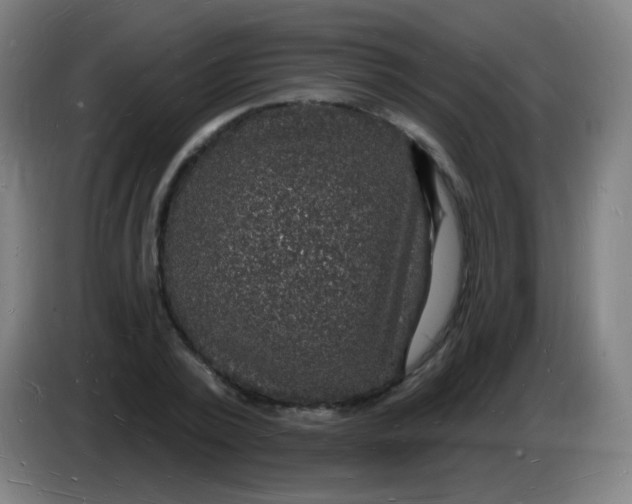 X0000085280784200703301915