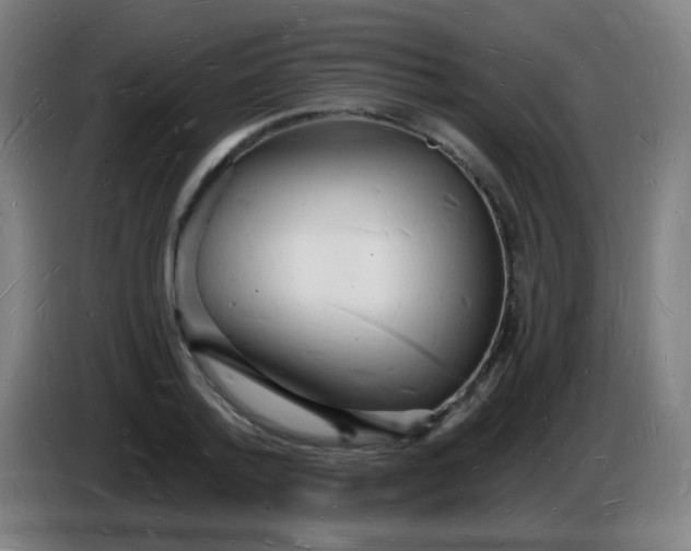 X0000085280788200703301915