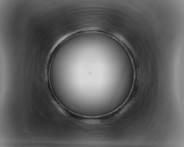 X0000085280789200703301915