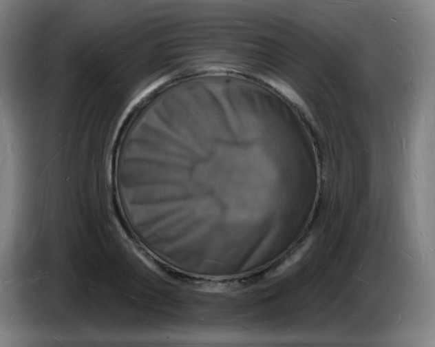 X0000085280790200703301915