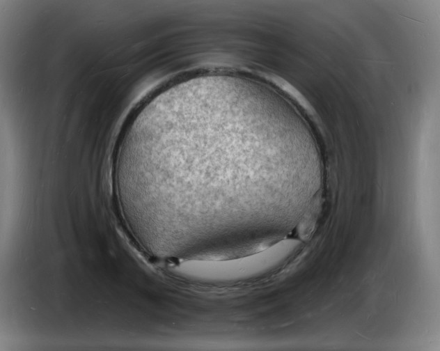 X0000085280791200703301915