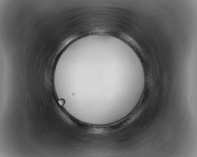 X0000085280794200703301915