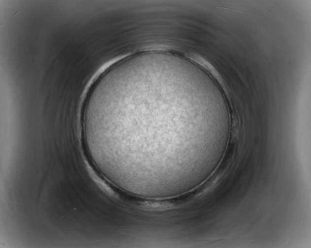 X0000085280795200703301915