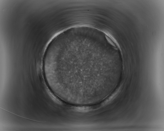 X0000085280797200703301915