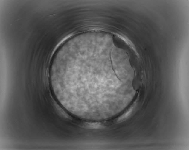 X0000085280798200703301915