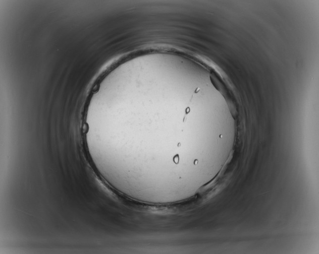 X0000085280799200703301914