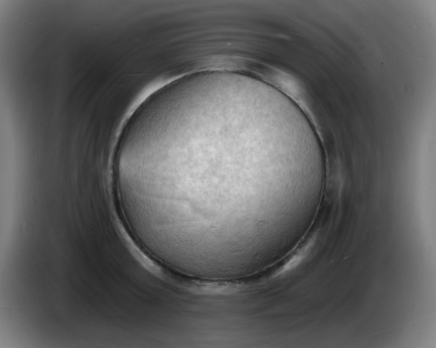 X0000085280803200703301914