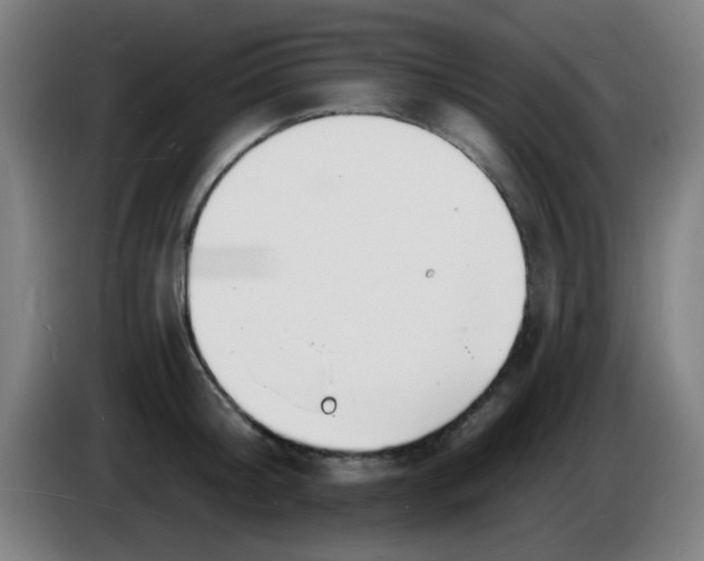 X0000085280804200703301914