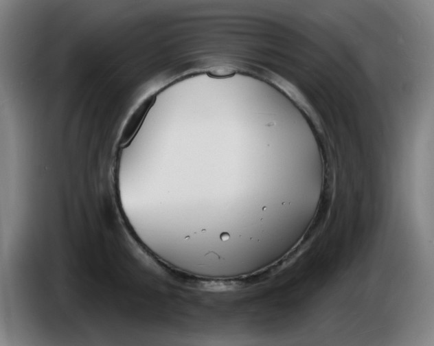 X0000085280805200703301914
