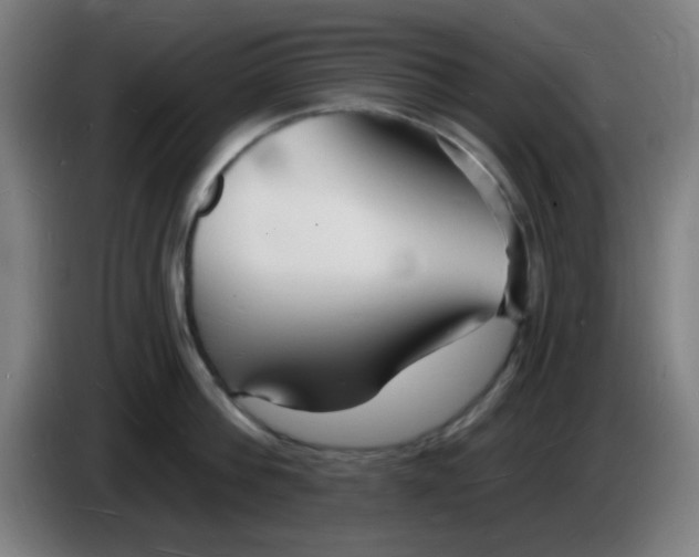 X0000085280812200703301914