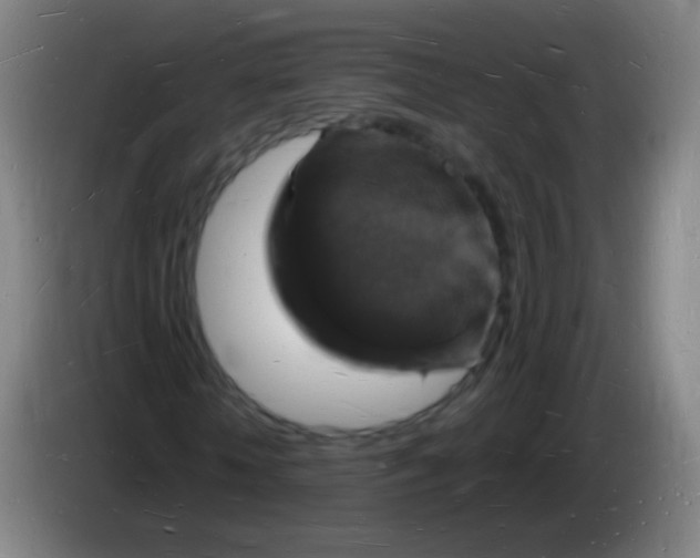 X0000085280818200703301914