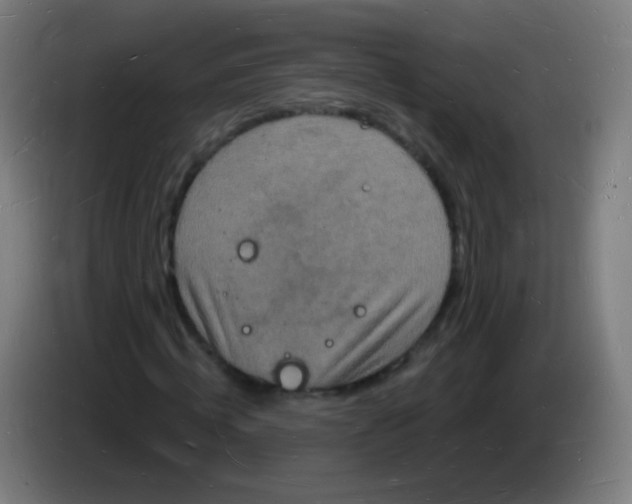 X0000085280820200703301914