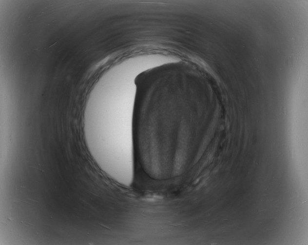 X0000085280822200703301914