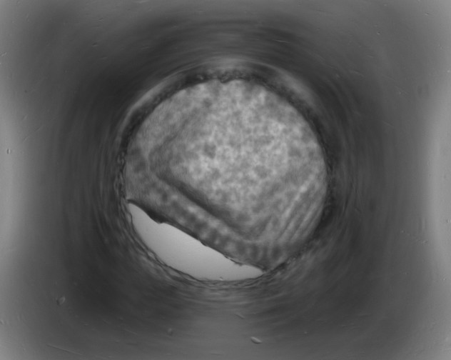 X0000085280823200703301914