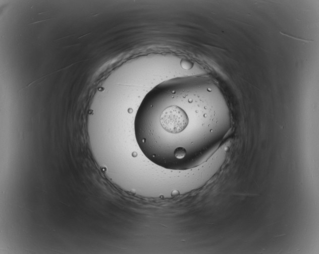 X0000085280824200703301914