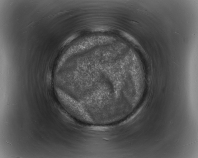 X0000085280825200703301914