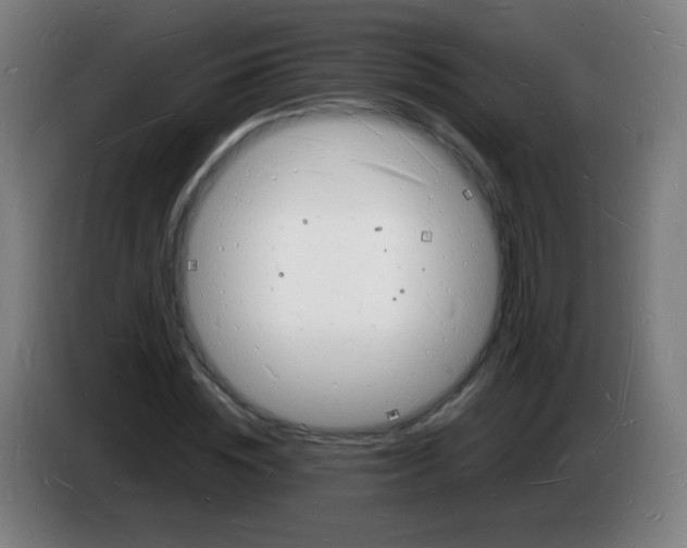 X0000085280828200703301914