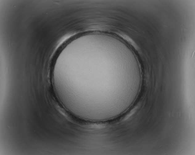 X0000085280830200703301914