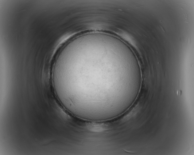 X0000085280831200703301914
