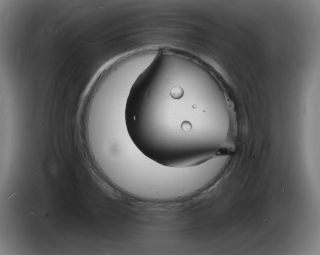 X0000085280832200703301914